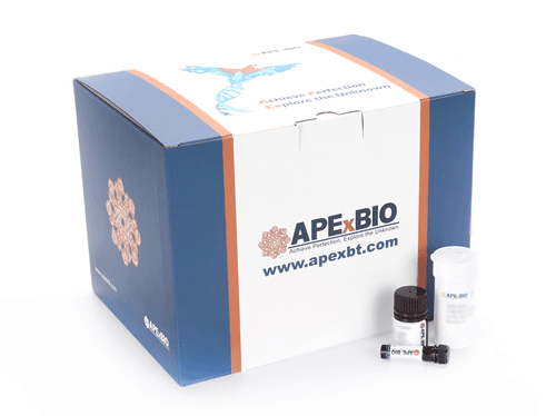 Cell Counting Kit-3D (CCK-3D)