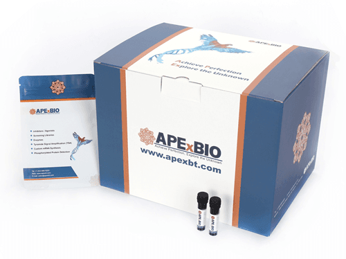 DAPI Solution (10 μg/mL, ready to use)