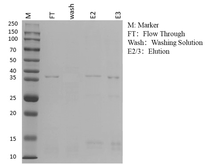 生物相关数据