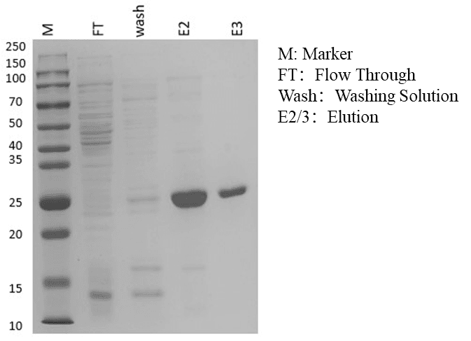 生物相关数据