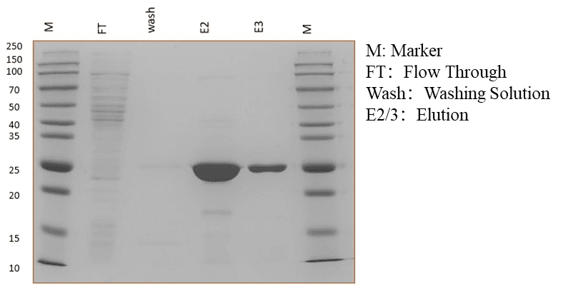 生物相关数据