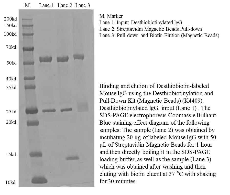 生物相关数据