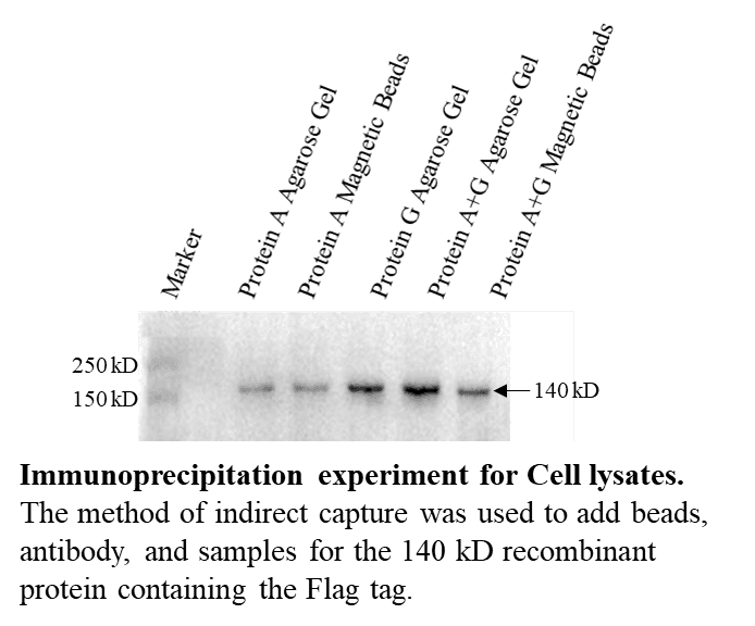 生物相关数据