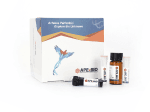 GSH and GSSG Assay Kit