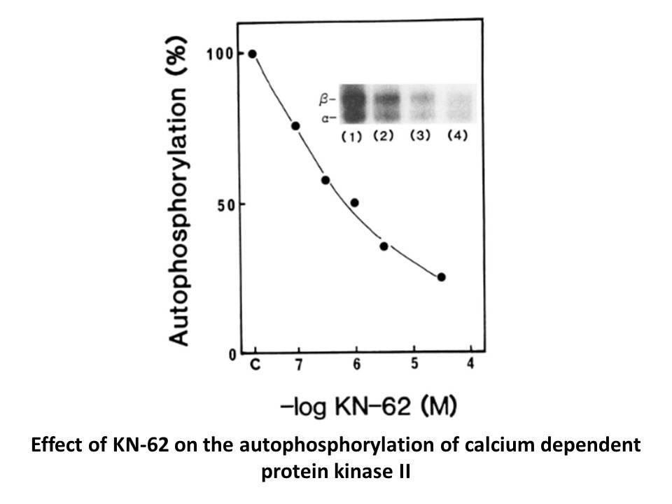 生物相关数据