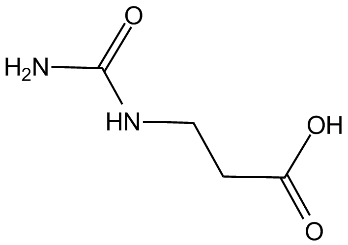 beta-Alanine metabolism