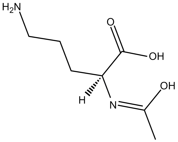 N-acetylornithine