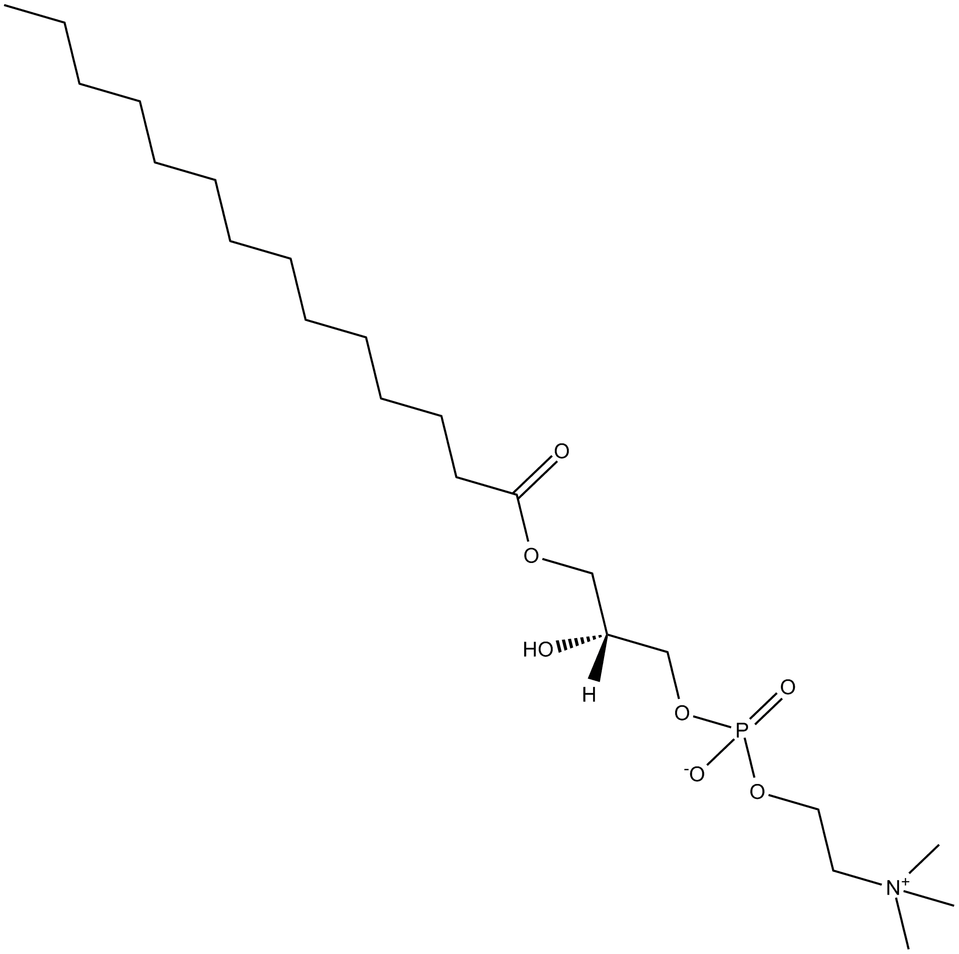 1-myristoylglycerophosphocholine
