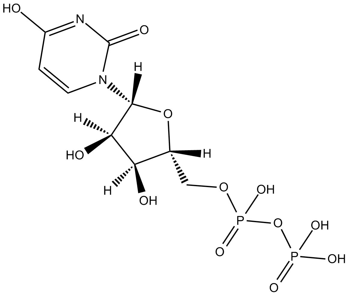 UDP