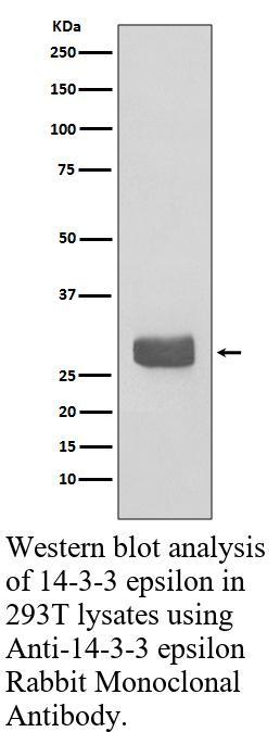 生物相关数据