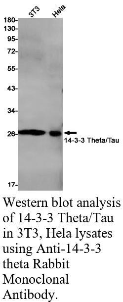 生物相关数据