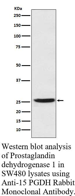 生物相关数据
