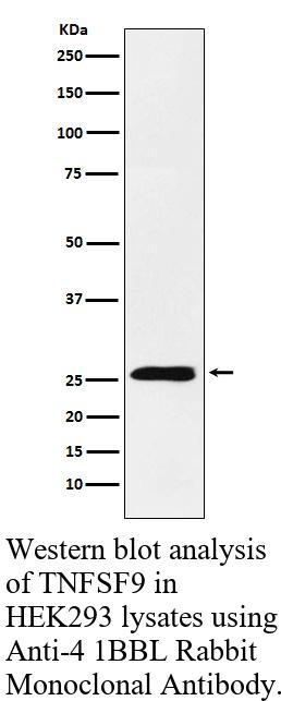 生物相关数据