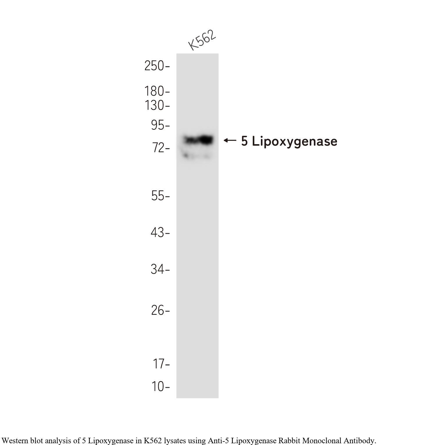 生物相关数据