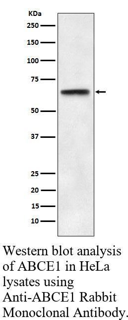 生物相关数据