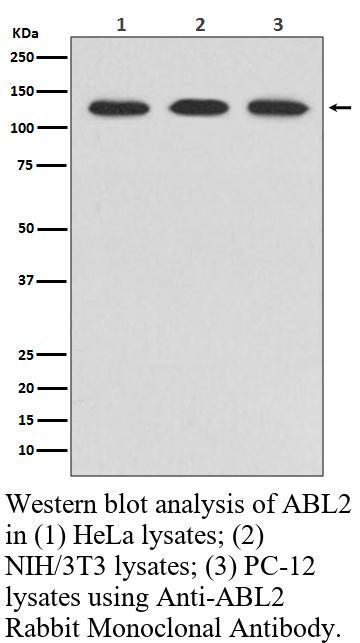 生物相关数据