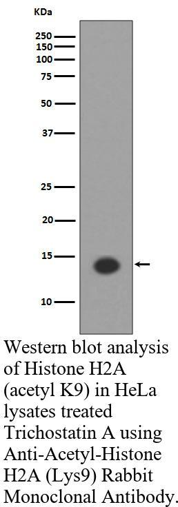 生物相关数据