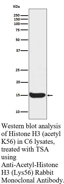 生物相关数据