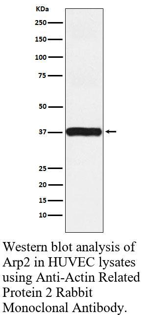 生物相关数据