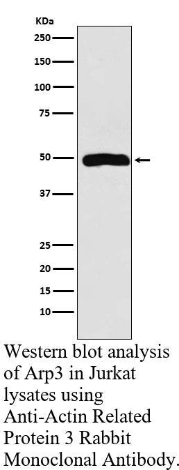 生物相关数据