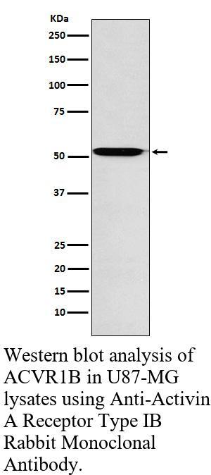 生物相关数据