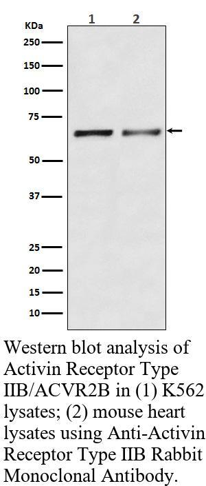 生物相关数据