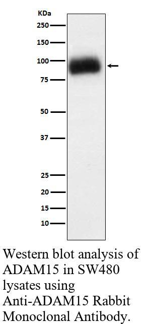 生物相关数据