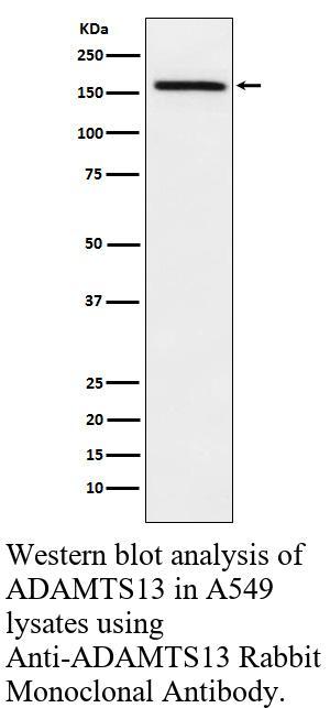 生物相关数据