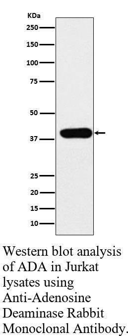 生物相关数据