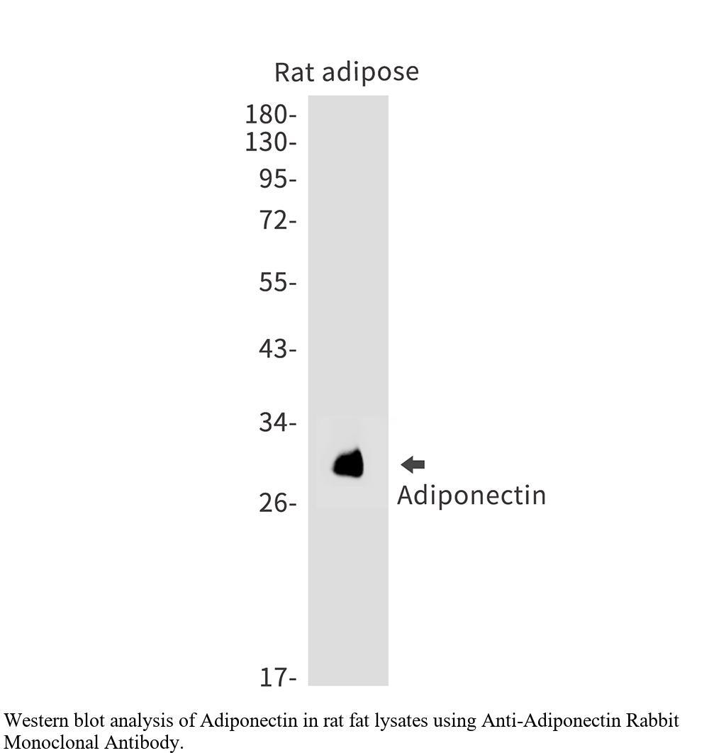 生物相关数据