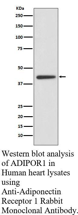 生物相关数据