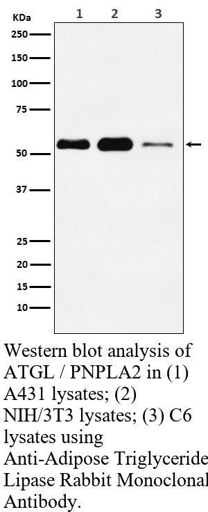 生物相关数据