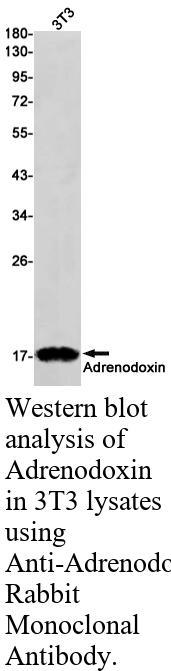 生物相关数据