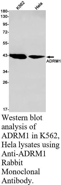 生物相关数据
