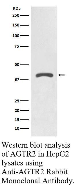 生物相关数据