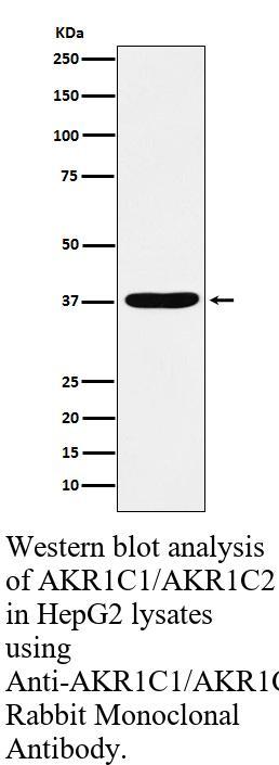 生物相关数据