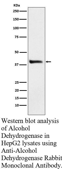 生物相关数据