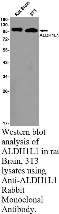 生物相关数据