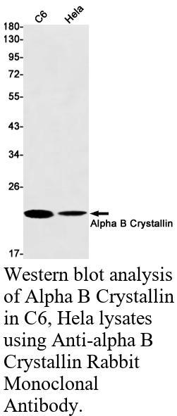 生物相关数据