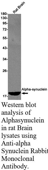 生物相关数据