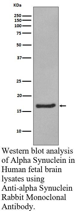 生物相关数据