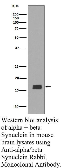 生物相关数据