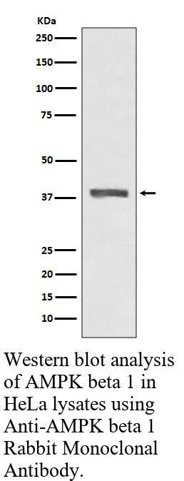 生物相关数据