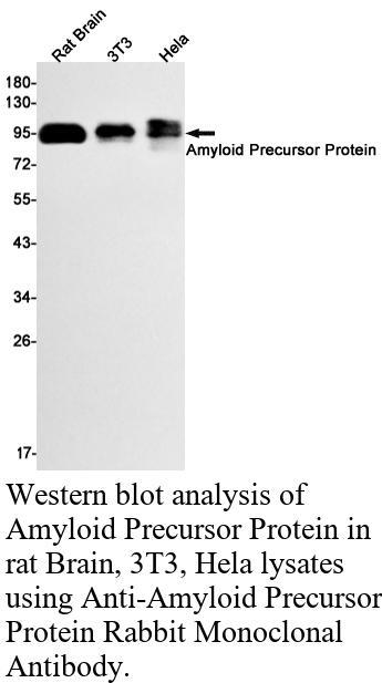 生物相关数据