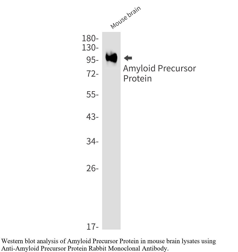 生物相关数据