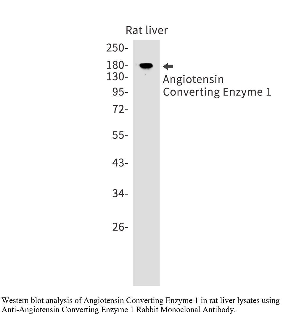 生物相关数据