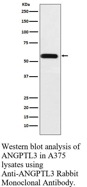 生物相关数据