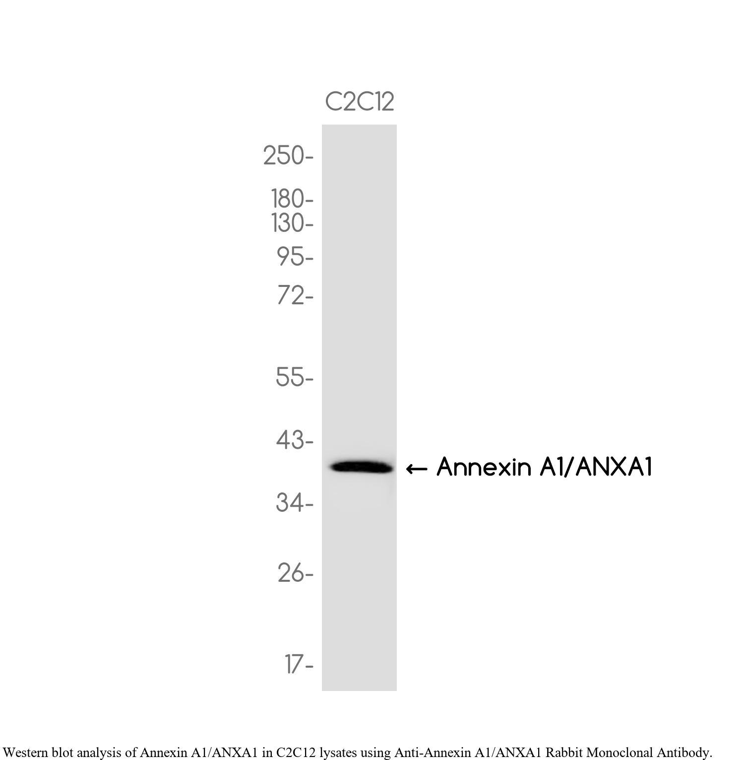 生物相关数据