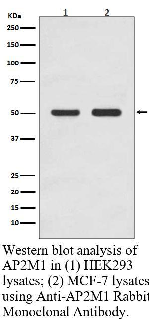 生物相关数据