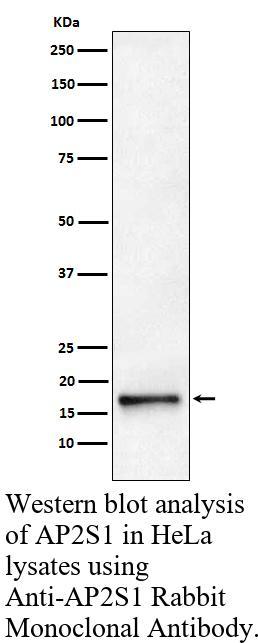 生物相关数据